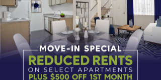 Twain Estates Gallery 30