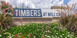 Timbers at Mill Creek Gallery 118