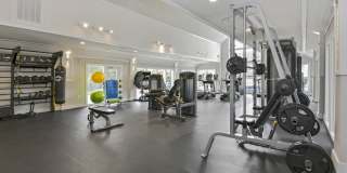 Canopy at Baybrook Canopy at Baybrook Gallery 32