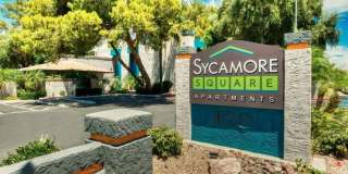 Sycamore Square Gallery 6