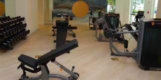 Sunrise Harbor Gallery 17