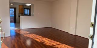 42793 PILGRIM Square Gallery 2