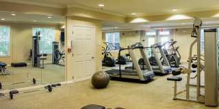 The Islands of Fox Chase Gallery 22