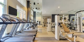 Preston Hollow Village Gallery 39