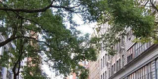 35 East 10th Street Gallery 6