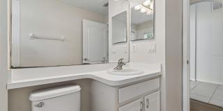 2222 ROANOKE SPRINGS DRIVE 2222 ROANOKE SPRINGS DRIVE Gallery 29