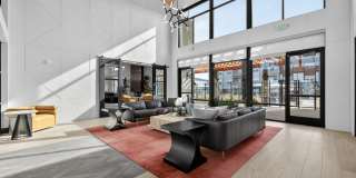 Elysium Reno Gallery 17