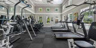 Balmoral Village Gallery 24