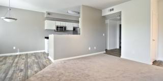 Los Cabos Villas Gallery 10