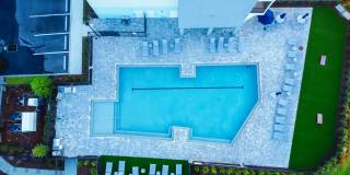 Mosaic at Lake Toho Gallery 20