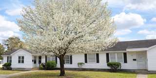 811 17th Avenue Gallery 1