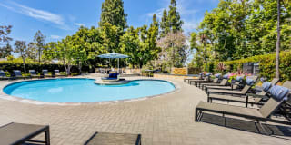 Sofi Ocean Hills Gallery 15