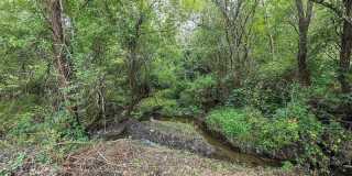 13417 110th PL NE Gallery 14