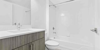 Coral Vista Gallery 49