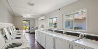 The Palms at Countryside Apartments Gallery 13