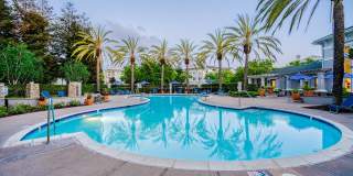 The Estates at Park Place Gallery 22