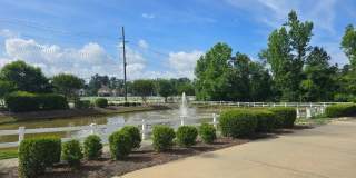 127 Nandina Court Gallery 2