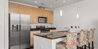 Fully Furnished Studio Condo at The Adelicia Gallery 8