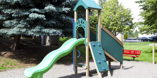 Whimsical Pig Gallery 16