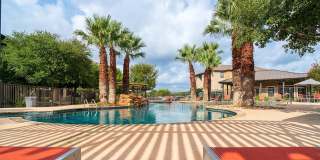 The Palmera Gallery 19
