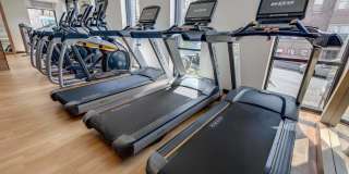 Windsor Queen Anne Gallery 37