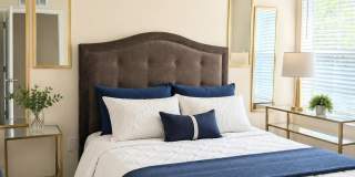 2845 BLACK BUCK Circle Gallery 1