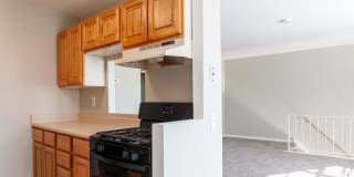 Chalet Village Gallery 9