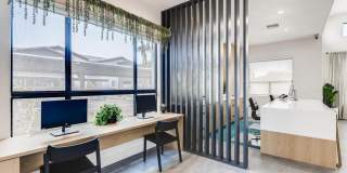Palm Court Gallery 16
