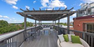 Columbia Heights Bright & Sunny One Bedroom W/Washer/Dryer In Unit, Roof Top, Pets Welcomed! Gallery 4