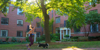 Shelton Apartments Gallery 35