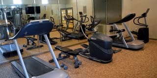 Windsor Place Gallery 5