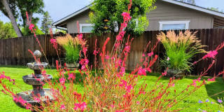 Unfurnished Light-Filled, Beautifully Updated 3-Bedroom Home in Jacksonville Gallery 30