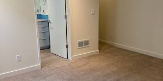 Silver Maple Stunning Gallery 26