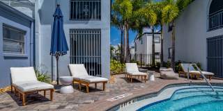 The Madeira Gallery 2