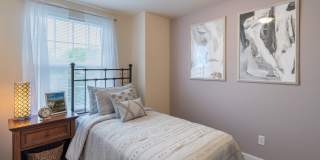 The Village at Horsepen Gallery 10