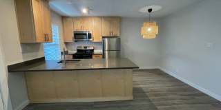 Penthouse Gallery 7