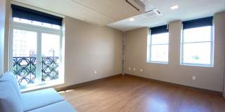 Red Oak at 83 Hanover Street Gallery 16