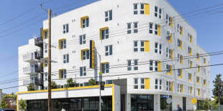 The Jayne Gallery 14