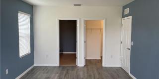 8187 Gopher Tortoise Trail Gallery 17