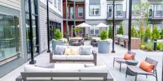 Alta French Hill Gallery 29