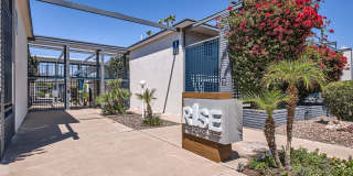 Rise Biltmore Gallery 63