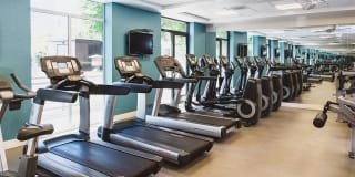 The Uptown The Uptown Gallery 24