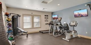 Element 170 Gallery 26