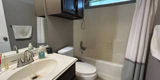 3933 Tranquil Path Drive Gallery 12
