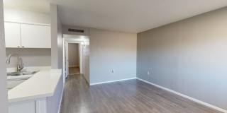 Agave Courtyard Gallery 2