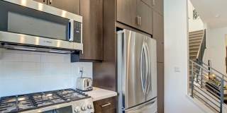 2693 paragon Loop Gallery 11