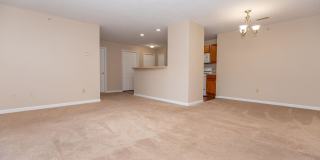 The Cove at Avon Lake Gallery 27