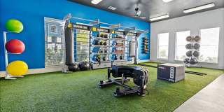 Carrington Oaks Gallery 52