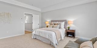 The Grand Meadows Gallery 12