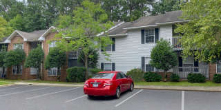 Springwood Park Gallery 19